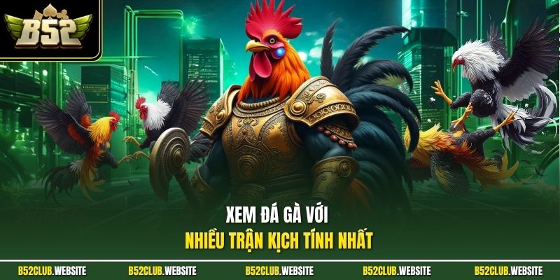 Xem đá gà với nhiều trận kịch tính nhất